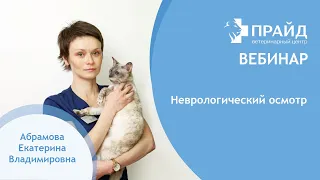 Неврологический осмотр. Вебинар от Абрамовой Е.В.