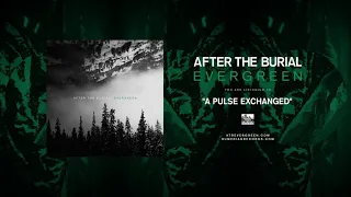 AFTER THE BURIAL - A Pulse Exchanged