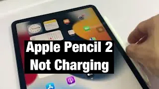 Sửa Apple Pencil 2 Sạc Không Lên Pin, Sạc mãi Vẫn 0% pin [ iMeo ]