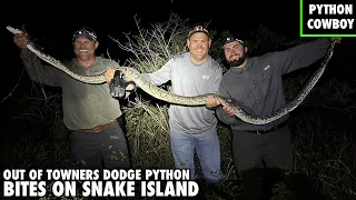 Out Of Towners Dodge Python Bites Hunting On Snake Island