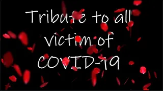 Tribute to everyone infected with COVID19 around the world