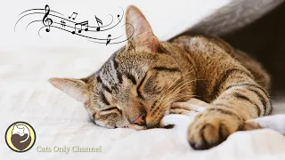 Music for Cats - Relaxing Music & Cat Purring Sounds / Stress Relief,  Anxiety Relief