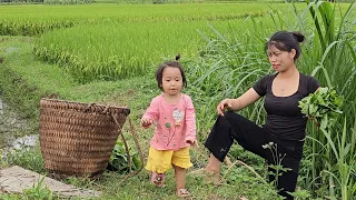 Single mother grows vegetables and harvests vegetables to sell at the market