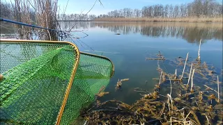 ПРИЕХАЛ НА РЫБАЛКУ. ВЕСЕННИЙ КЛЕВ НАЧАЛСЯ