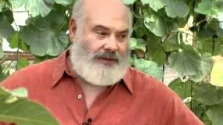 Top Supplements For Healthy Aging | Andrew Weil, M.D.