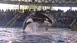 Orca Encounter Premiere Show (Ultra HD) Feb. 22, 2020 - SeaWorld San Antonio