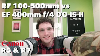 Comparing the Canon RF100-500mm to the EF 400 f/4 DO IS II