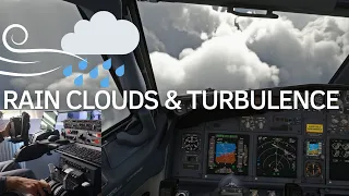 MSFS2020 | PMDG 737-800 | Rain and Turbulence Cloud surfing Approach in Brussel Charleroi !