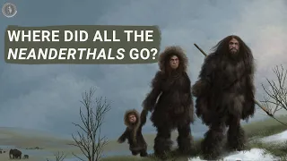 Where Did All The Neanderthals Go?