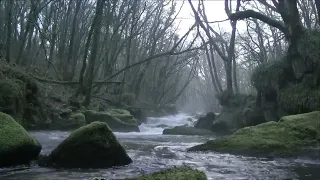 Ghost caught on camera in daylight on a Scottish river.