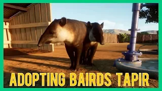 Planet Zoo Beta - Adopting Bairds Tapir