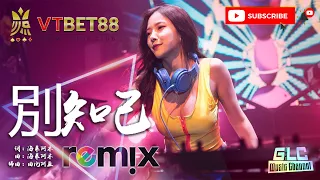 别知己 - 海来阿木 【DJ REMIX】⚡ GlcMusicChannel Ft. VTBET88