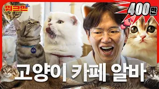 Working lying down😺 Jang Sungkyu didn't want to pass out leaflets | Cat Café | Workman2