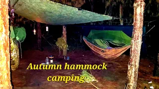 Autumn hammock camping/craft beer and curry.