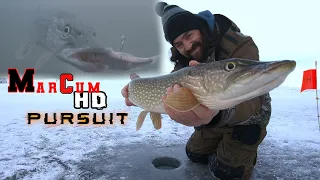 INSANE TipUp Fishing For Walleye And Pike! Crystal Clear Underwater Footage! MarCum HD Pursuit