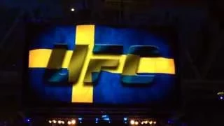 Alexander Gustafsson entrance at UFC Fight Night Gustafsson vs Johnson