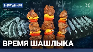 Шашлык как символ свободы России. Только баранина! Зачем мясу нужны шампуры, маринад и дым | НАУКА
