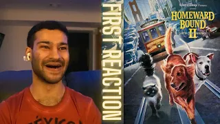 Watching Homeward Bound ||: Lost In San Francisco (1996) FOR THE FIRST TIME!! || Movie Reaction!