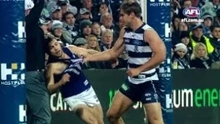 Freo and Cats Rivalry - AFL