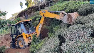 Mountain Narrow Road Construction through Tea Farm with JCB Backhoe