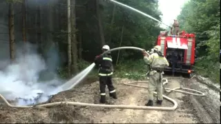 Рятувальники провели навчання з ліквідації пожежі в лісі
