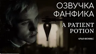 ОЗВУЧКА ФАНФИКА  ДРАМИОНА  "A PATIENT POTION"