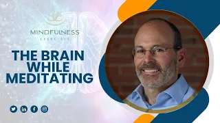 The Brain While Meditating – With Dr  Judson Brewer