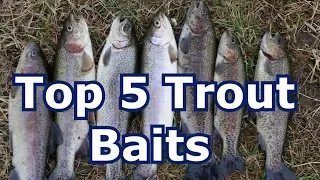 Best 5 Baits for Trout
