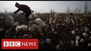 New evidence of Uighur forced labour in China’s cotton industry - BBC News