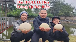 IDOLL Lk Hòa Ra Thăm Anh Em  Mình Ngày Mưa Gió - Và Món Trứng Vịt Đột Biến Suýt  Thành Công