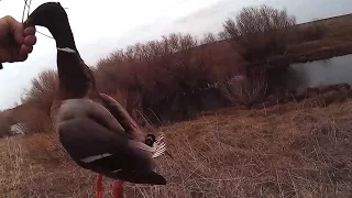 Охота на утку.10.04.16 Уйрек аншылык. Duck Hunting.Казахстан Караганды, утрянка.