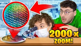 EINEN FISCH ANSEHEN mit 2000 x ZOOM MIKROSKOP 🔬!