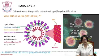 CÁC XÉT NGHIỆM CHẨN ĐOÁN NHIỄM SARS-CoV-2 | TS. BS. Nguyễn Thị Ngọc Lan