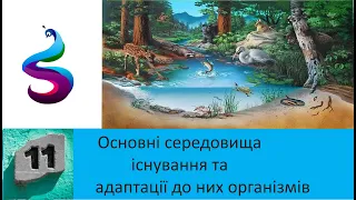 Основні середовища існування та адаптації до них організмів