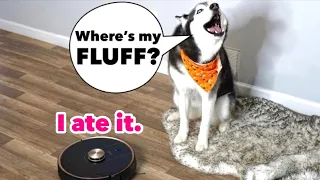 Meeka Reacts To A Talking Robotic Vacuum! (SHE ARGUES!)
