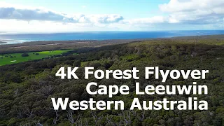 4K Cape Leeuwin Ridge Forest, Western Australia