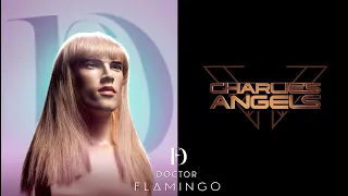 DOCTOR FLAMINGO feat  CHARO TRIS    CHARLIE'S ANGELS DISCO SKULL  INSTRUMENTAL REMIX video