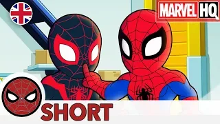 Marvel Super Hero Adventures | EP03 That Drone Cat | MARVEL HQ