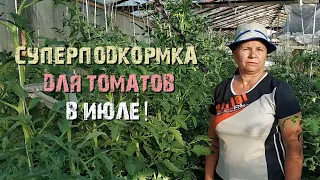 Суперподкормка для томатов в июле!