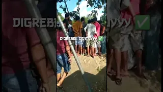 Polisi Tangkap Judi Sabung Ayam