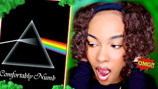 (rap fan reacts) Pink Floyd - Comfortably Numb! Reaction