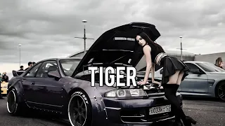 Bass Boosted Music Mix 2024 | "Tiger"