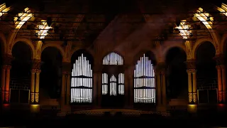 Organ Projection Mapping - MNAC Barcelona