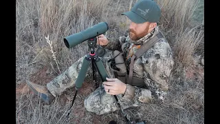 Swarovski STC 17-40 X 56 Spotter Review