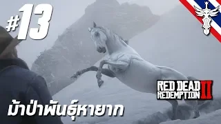 ม้าป่าพันธุ์หายาก - Red Dead Redemption 2 #13