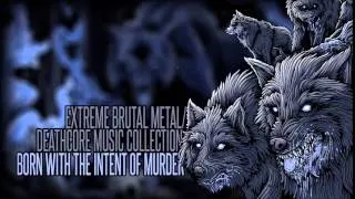 ► 1 Hour of Extreme Brutal Metal/Deathcore Music (Compilation IV)