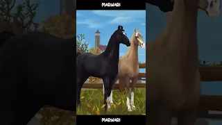 This is what your favorite SSO horse saids about you... #sso #ssohorses #horselover #starstable