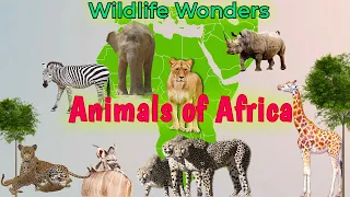 Wildlife Wonders : Animals of Africa || Kids Vocabulary