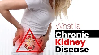 What is Chronic Kidney Disease? Its Symptoms, Causes, Treatment and Prevention?