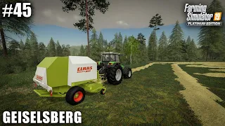 Geiselsberg #45 Making Hay Bales, Farming Simulator 19 Timelapse, Seasons